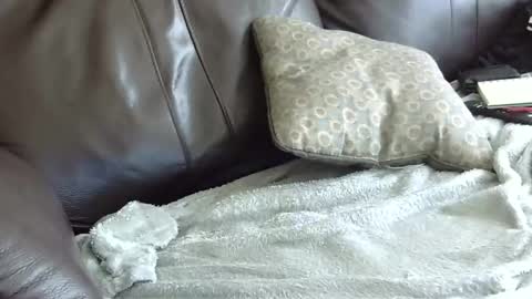 Snapshot of 66bear chatting on 01.31.25 66bear online show from 01.31.25