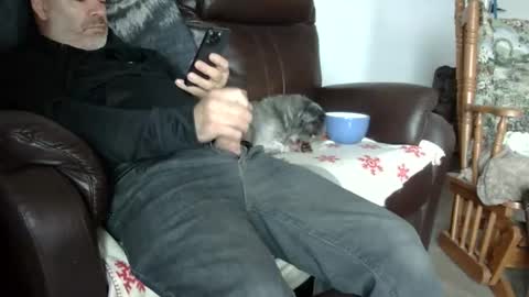 Snapshot of 66bear chatting on 10.31.25 66bear online show from 10.31.25