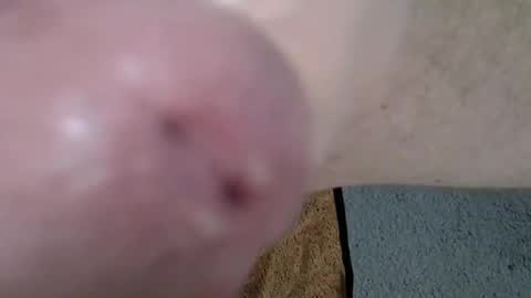 Snapshot of 81_harterschwanz chatting on 12.13.24 Maximilian Max online show from 12.13.24