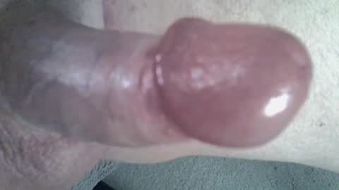 Snapshot of 81_harterschwanz chatting on 01.09.25 Maximilian Max online show from 01.09.25