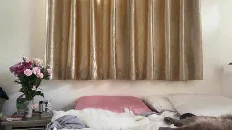 Snapshot of _chelsea___ chatting on 02.16.25 Chelsea xo online show from 02.16.25