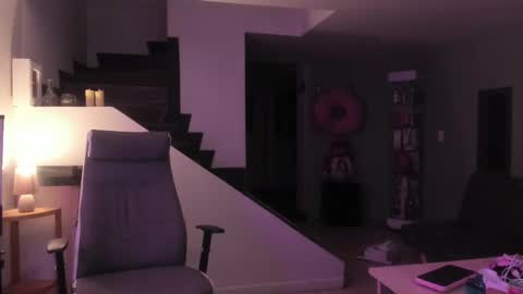 Snapshot of _mr_panda_ chatting on 02.13.25 Panda online show from 02.13.25