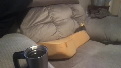 Snapshot of abe_froman2007 chatting on 01.19.25 abe_froman2007 online show from 01.19.25