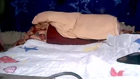 Snapshot of aislahrose chatting on 01.28.25 rosie online show from 01.28.25