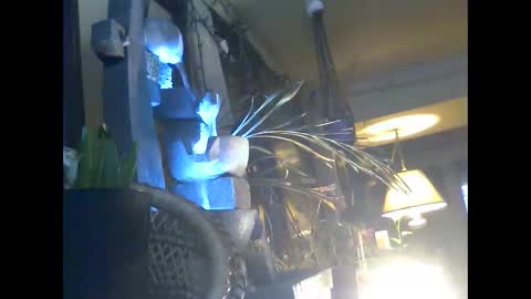 Snapshot of ajstevens326 chatting on 11.03.25 ajstevens326 online show from 11.03.25