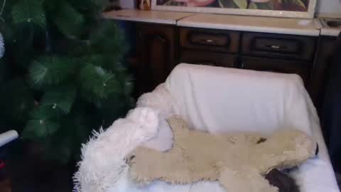 Snapshot of alenablack chatting on 12.15.24 Luly online show from 12.15.24