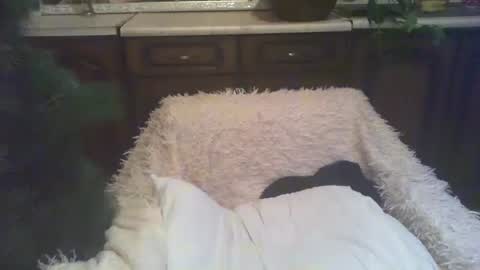 Snapshot of alenablack chatting on 01.05.25 Luly online show from 01.05.25