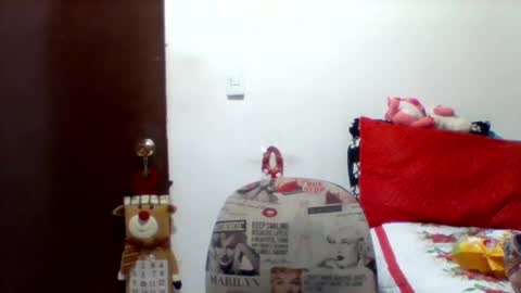 Snapshot of alisson_brand chatting on 12.27.24 alisson brand online show from 12.27.24