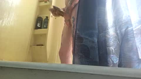 Snapshot of allwolf0323 chatting on 09.30.25 allwolf0323 online show from 09.30.25