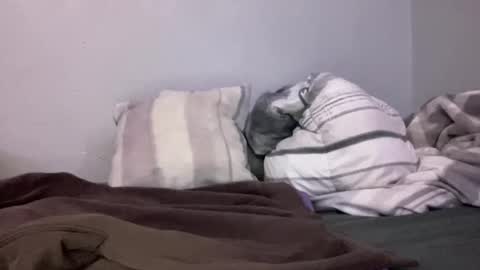 Snapshot of animeboygirls chatting on 01.10.25 Animeboygirls online show from 01.10.25