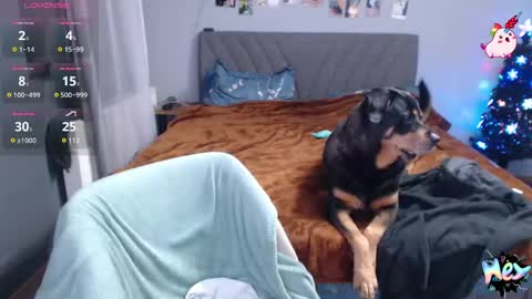 Snapshot of anna_ana chatting on 12.31.24 Anadirectgirl online show from 12.31.24