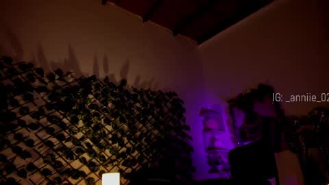 Snapshot of annie_barozzi chatting on 12.20.24 annie_barozzi online show from 12.20.24