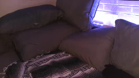 Snapshot of aphrodite_ash chatting on 09.25.25 Shy Happy Pair online show from 09.25.25