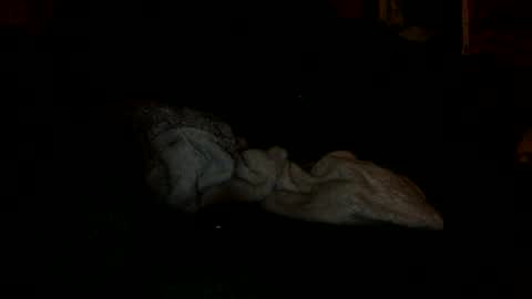 Snapshot of arley1966 chatting on 11.04.25 arley1966 online show from 11.04.25