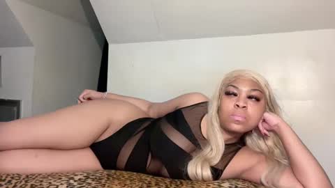 Snapshot of aunyxxx chatting on 02.19.25 aunyxxx online show from 02.19.25