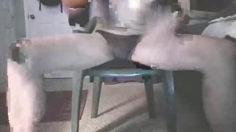 Snapshot of b_johnson420 chatting on 11.16.25 bjohnson420 online show from 11.16.25