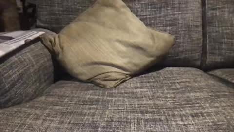 Snapshot of baykiwi54 chatting on 12.17.24 baykiwi54 online show from 12.17.24