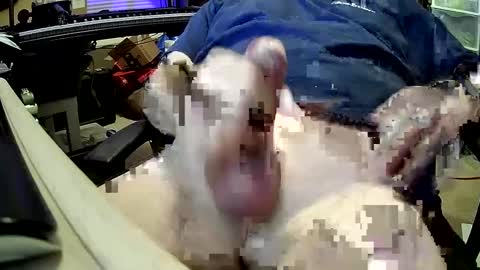 Snapshot of bb5199bb chatting on 12.27.24 bb5199bb online show from 12.27.24