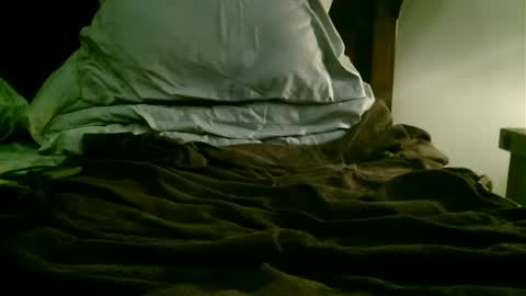 Snapshot of beagle1 chatting on 12.21.24 beagle1 online show from 12.21.24