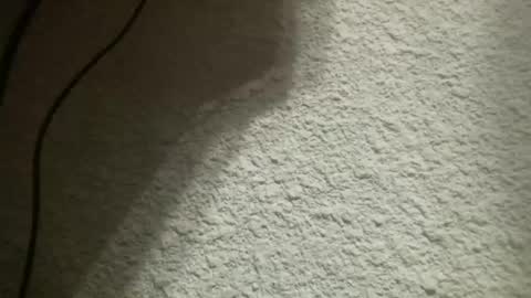 Snapshot of bgf32054 chatting on 02.04.25 Bigfish123 online show from 02.04.25