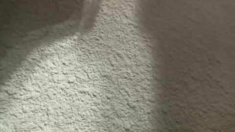 Snapshot of bgf32054 chatting on 03.12.25 Bigfish123 online show from 03.12.25