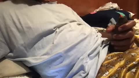 Snapshot of bigbrown_boy chatting on 09.21.25 bigbrown_boy online show from 09.21.25