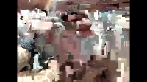 Snapshot of bigdaddy1231995 chatting on 09.15.25 BigDaddykodack online show from 09.15.25