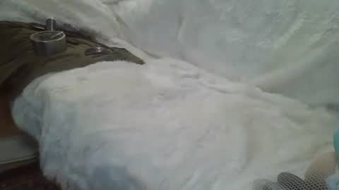 Snapshot of bigreallover chatting on 12.14.24 ...... online show from 12.14.24