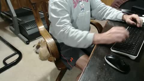 Snapshot of billy471 chatting on 01.05.25 billy471 online show from 01.05.25