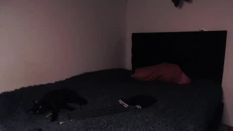 Snapshot of black_firex chatting on 10.08.25 black_firex online show from 10.08.25