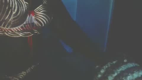 Snapshot of bootylicious254 chatting on 10.27.25 bootylicious254 online show from 10.27.25