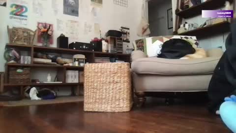 Snapshot of boywithbug chatting on 03.12.25 boywithbug online show from 03.12.25