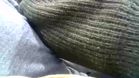 Snapshot of brilliant7 chatting on 12.31.24 Josh online show from 12.31.24