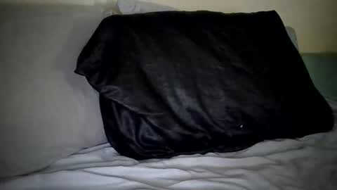 Snapshot of caligirl310r chatting on 01.27.25 Caligurl   Queen    Head Fluffer In Charge  Goddess of Cocktease   Mistress of Holes online show from 01.27.25