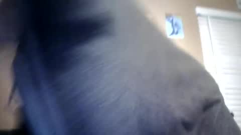 Snapshot of carsonlueders8775 chatting on 01.13.25 carsonlueders8775 online show from 01.13.25