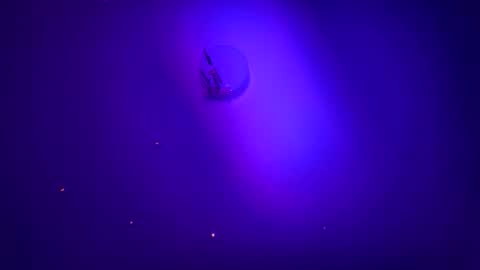 Snapshot of casidy1 chatting on 01.21.25 casidy1 online show from 01.21.25