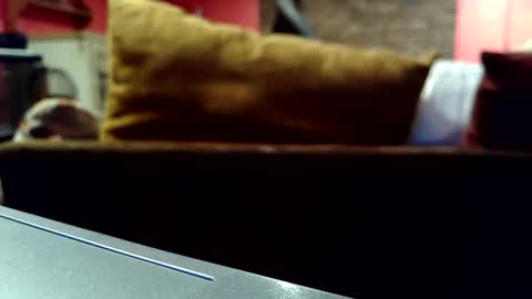 Snapshot of castration40 chatting on 10.17.25 castration40 online show from 10.17.25