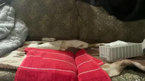 Snapshot of charlesbr019 chatting on 11.16.25 charlesbr019 online show from 11.16.25