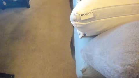 Snapshot of chris_martinson chatting on 02.27.25 Chris Martinson XXX online show from 02.27.25