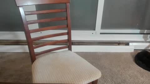 Snapshot of chris_sterlingxxx chatting on 12.31.24 Chris Sterling online show from 12.31.24