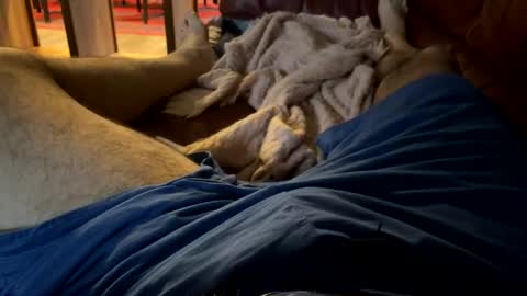 Snapshot of cj3d2 chatting on 12.13.24 Cjd32 online show from 12.13.24