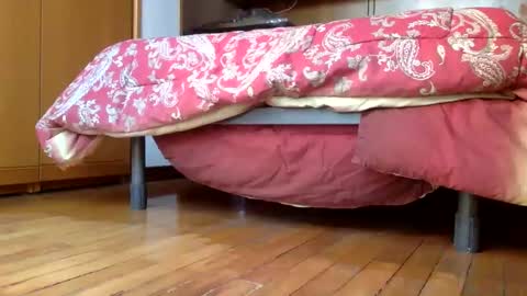 Snapshot of claudi779 chatting on 12.29.24 claudi779 online show from 12.29.24