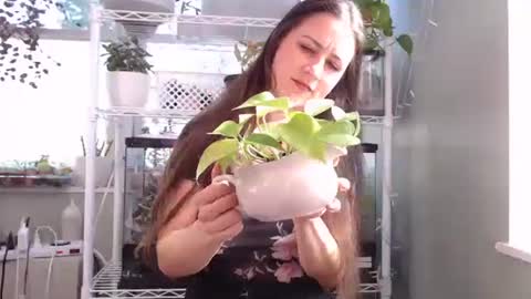 Snapshot of constantcumquest chatting on 10.04.25 ANR Mommy online show from 10.04.25