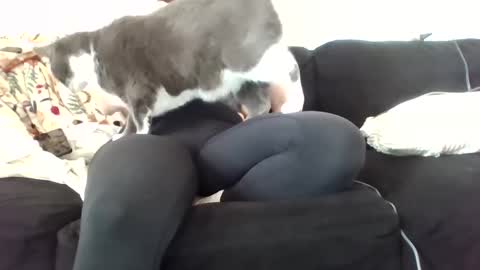 Snapshot of courtxoxo_o chatting on 02.20.25 courtxoxo_o online show from 02.20.25