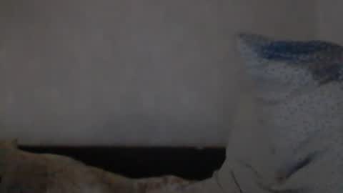 cutekattie online show from 12.08.24