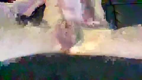 Snapshot of cwaddle chatting on 02.16.25 cwaddle online show from 02.16.25