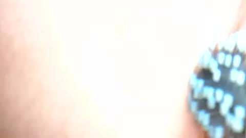 Snapshot of daddydigbick87 chatting on 10.29.25 daddydigbick87 online show from 10.29.25