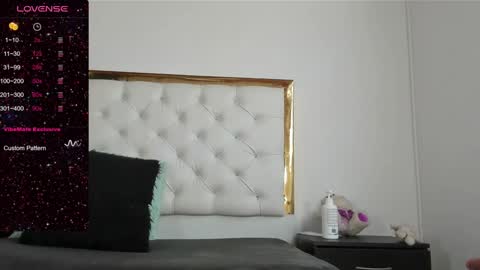 Snapshot of dani_ary chatting on 01.18.25 DANI online show from 01.18.25