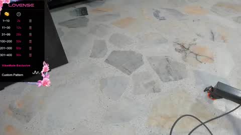 Snapshot of dani_ary chatting on 02.25.25 DANI online show from 02.25.25