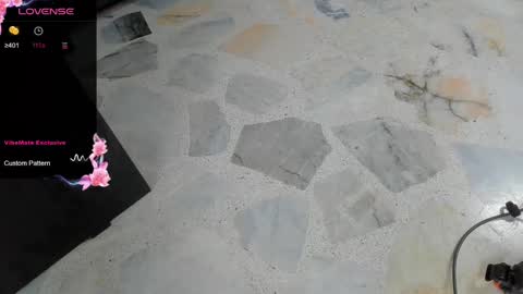 Snapshot of dani_ary chatting on 03.04.25 DANI online show from 03.04.25